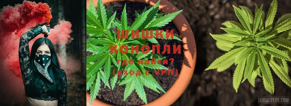 амф Мегион