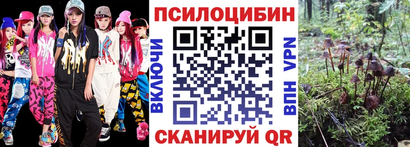 наркошоп  Мосальск  Галлюциногенные грибы GOLDEN TEACHER 